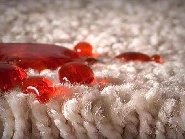 images/scoth-gard/slider/scotchhgard--stain-protection-services-6-kireth-ai.jpeg