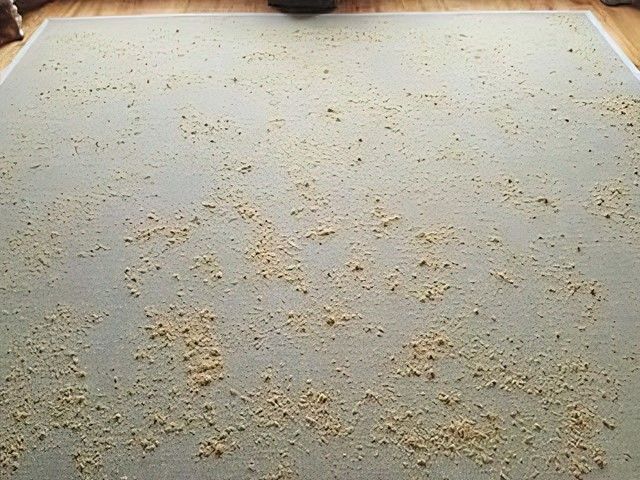 images/dry-carpet-cleaning/slider/dry-carpet-cleaning-3-kireth-ai.jpg