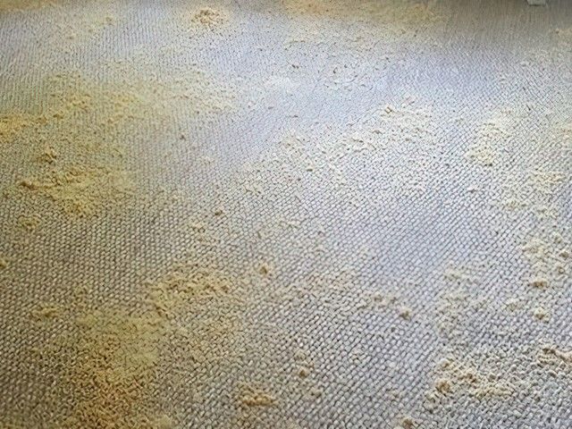 images/dry-carpet-cleaning/slider/dry-carpet-cleaning-1-kireth-ai.jpg